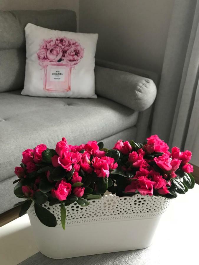 Glamour Apartment Przy Plazy, Z Parkingiem Prywatnym 소포트 외부 사진